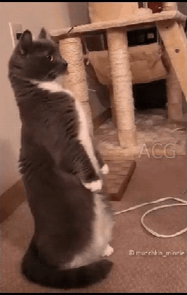 1536388094.gif